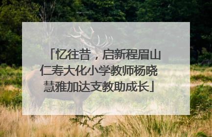 忆往昔，启新程眉山仁寿大化小学教师杨晓慧雅加达支教助成长