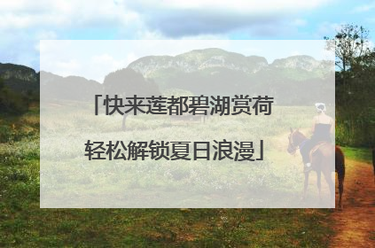 快来莲都碧湖赏荷 轻松解锁夏日浪漫