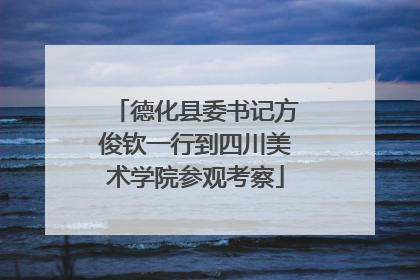 德化县委书记方俊钦一行到四川美术学院参观考察