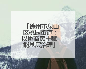 徐州市泉山区桃园街道：以协商民主赋能基层治理