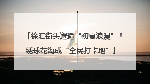 徐汇街头邂逅“初夏浪漫”！绣球花海成“全民打卡地”