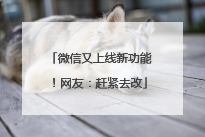 微信又上线新功能！网友：赶紧去改