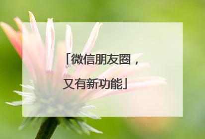 微信朋友圈，又有新功能
