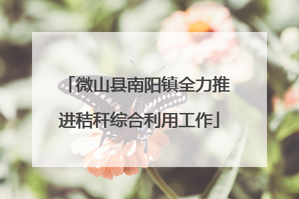微山县南阳镇全力推进秸秆综合利用工作