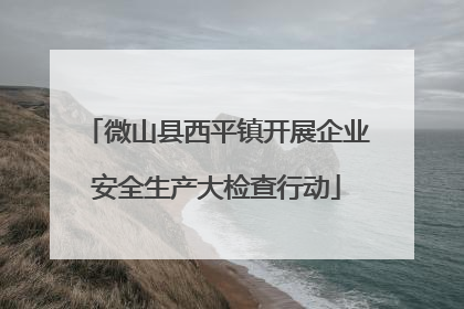 微山县西平镇开展企业安全生产大检查行动