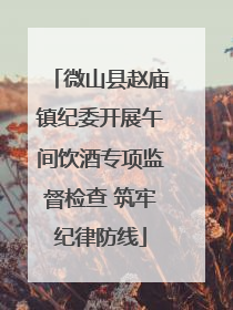 微山县赵庙镇纪委开展午间饮酒专项监督检查 筑牢纪律防线