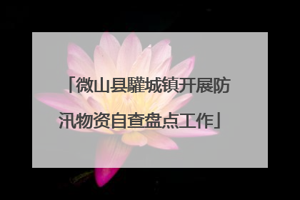 微山县驩城镇开展防汛物资自查盘点工作