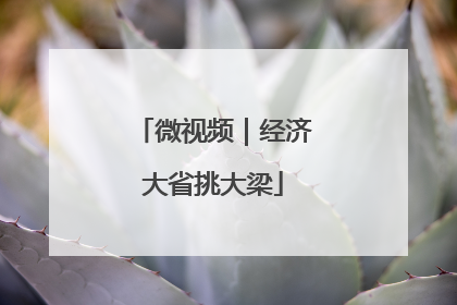 微视频｜经济大省挑大梁