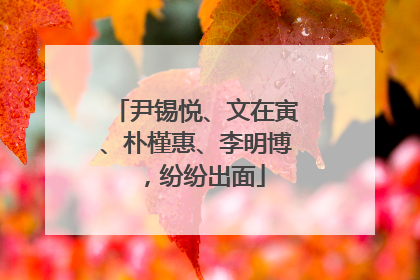尹锡悦、文在寅、朴槿惠、李明博，纷纷出面