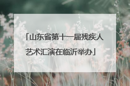 山东省第十一届残疾人艺术汇演在临沂举办