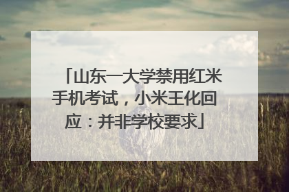 山东一大学禁用红米手机考试，小米王化回应：并非学校要求