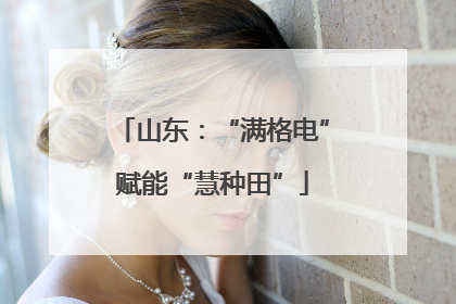 山东：“满格电”赋能“慧种田”