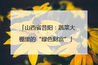 山西省昔阳：蔬菜大棚里的“绿色财富”