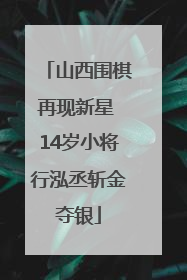 山西围棋再现新星 14岁小将行泓丞斩金夺银