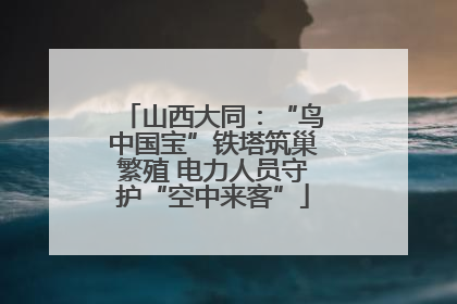 山西大同：“鸟中国宝”铁塔筑巢繁殖 电力人员守护“空中来客”