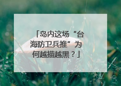 岛内这场“台海防卫兵推”为何越描越黑？
