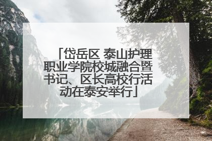 岱岳区 泰山护理职业学院校城融合暨书记、区长高校行活动在泰安举行