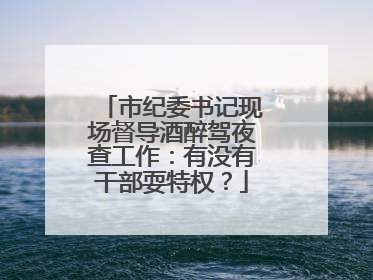 市纪委书记现场督导酒醉驾夜查工作：有没有干部耍特权？