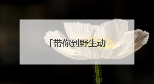 带你到野生动物王国揭秘鄂州人专属暗号