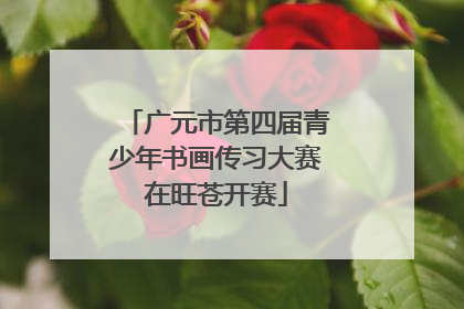 广元市第四届青少年书画传习大赛在旺苍开赛