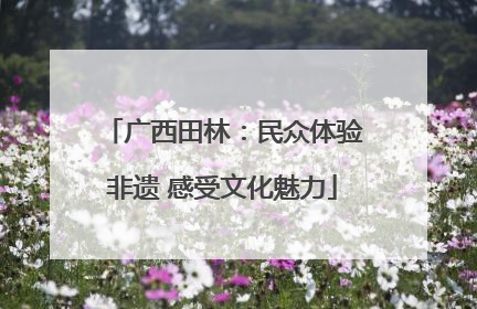 广西田林：民众体验非遗 感受文化魅力