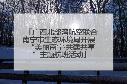 广西北部湾航空联合南宁市生态环境局开展“美丽南宁·共建共享”主题航班活动