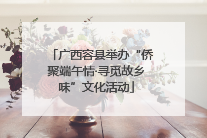 广西容县举办“侨聚端午情·寻觅故乡味”文化活动
