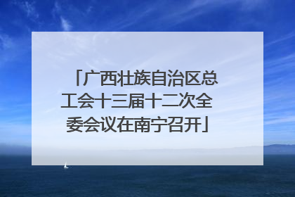 广西壮族自治区总工会十三届十二次全委会议在南宁召开