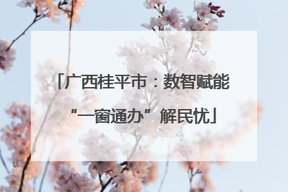 广西桂平市：数智赋能“一窗通办”解民忧
