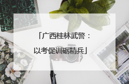 广西桂林武警：以考促训砺精兵