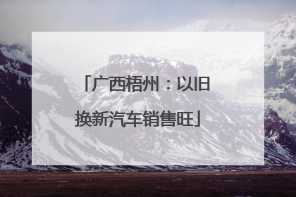 广西梧州：以旧换新汽车销售旺