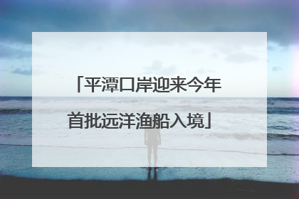 平潭口岸迎来今年首批远洋渔船入境