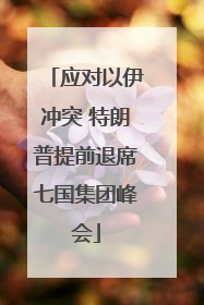 应对以伊冲突 特朗普提前退席七国集团峰会
