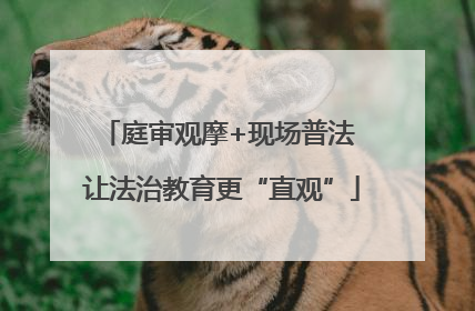 庭审观摩+现场普法 让法治教育更“直观”