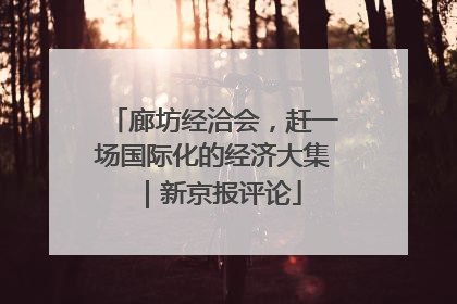 廊坊经洽会，赶一场国际化的经济大集｜新京报评论