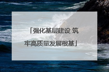 强化基层建设 筑牢高质量发展根基