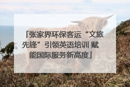 张家界环保客运“文旅先锋”引领英语培训 赋能国际服务新高度
