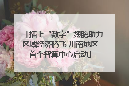 插上“数字”翅膀助力区域经济腾飞 川南地区首个智算中心启动
