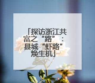 探访浙江共富之“路”：县城“虾路”焕生机