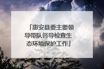 惠安县委主要领导带队督导检查生态环境保护工作