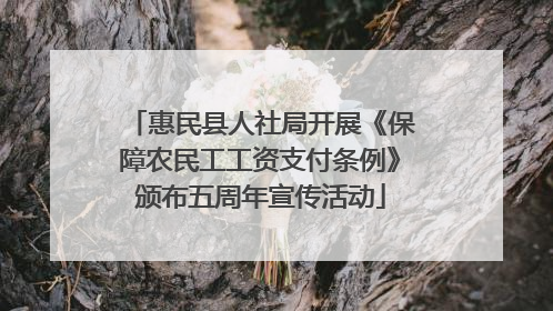 惠民县人社局开展《保障农民工工资支付条例》颁布五周年宣传活动