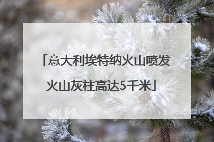 意大利埃特纳火山喷发 火山灰柱高达5千米