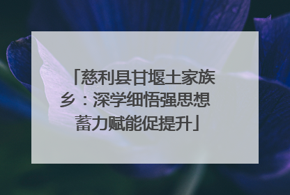 慈利县甘堰土家族乡：深学细悟强思想 蓄力赋能促提升