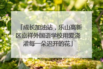 成长加油站，乐山高新区嘉祥外国语学校用爱浇灌每一朵迟开的花