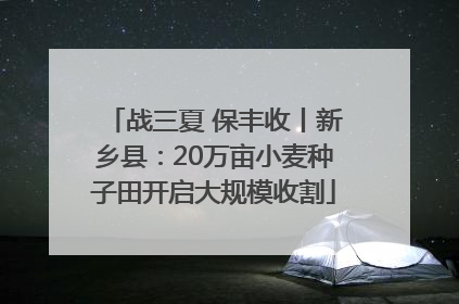 战三夏 保丰收丨新乡县：20万亩小麦种子田开启大规模收割