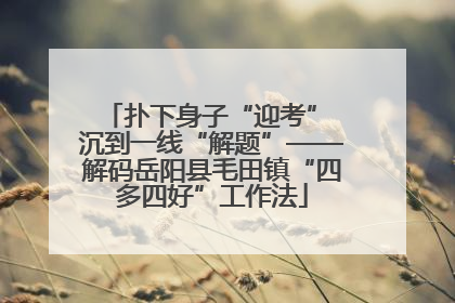 扑下身子“迎考” 沉到一线“解题”——解码岳阳县毛田镇“四多四好”工作法