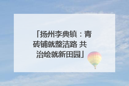 扬州李典镇：青砖铺就整洁路 共治绘就新田园