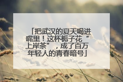 把武汉的夏天喝进嘴里！这杯栀子花“上岸茶”，成了百万年轻人的青春暗号