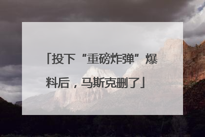 投下“重磅炸弹”爆料后，马斯克删了