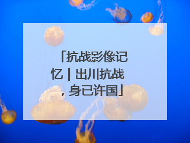 抗战影像记忆｜出川抗战，身已许国